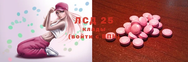 шишки Горно-Алтайск