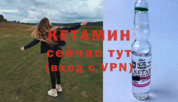 шишки Горно-Алтайск