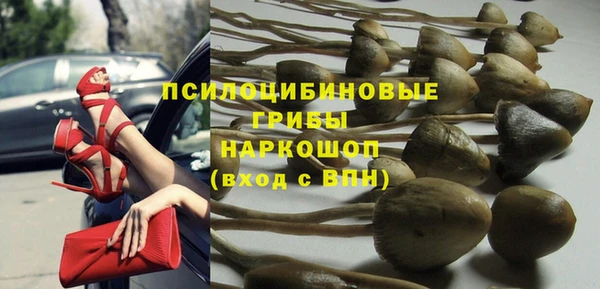 шишки Горно-Алтайск