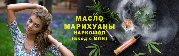 шишки Горно-Алтайск