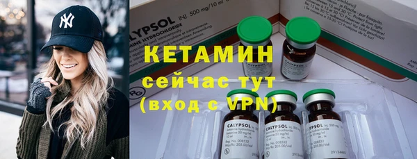 шишки Горно-Алтайск