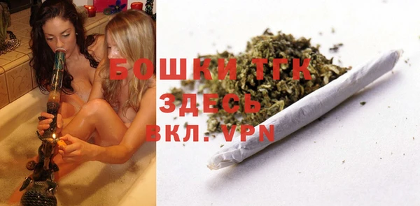 шишки Горно-Алтайск