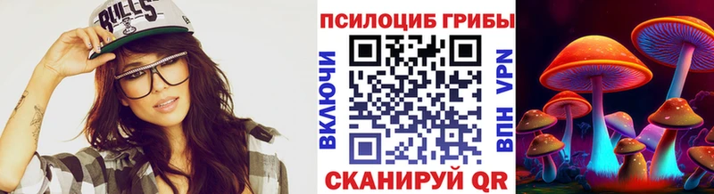 Псилоцибиновые грибы прущие грибы  Купить где  Кудрово 